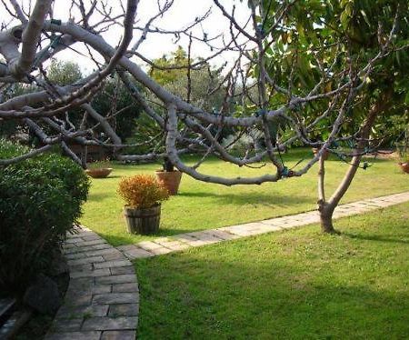 Villa Chiarenza Maison D'Hotes Giardini Naxos Luaran gambar